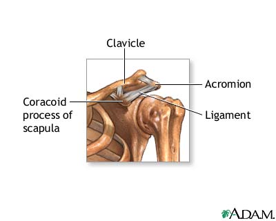 Normal anatomy