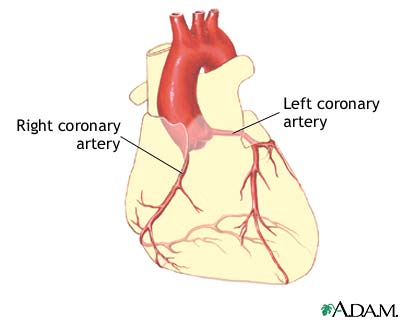 Normal anatomy