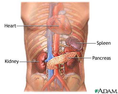 Pancreas and kidneys Pancreas and kidneys