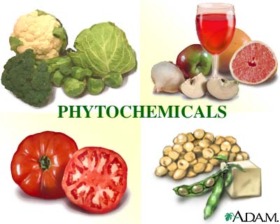 Phytochemicals Phytochemicals