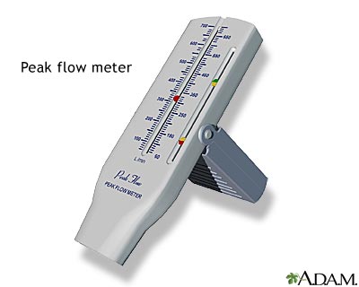 Peak flow meter Peak flow meter