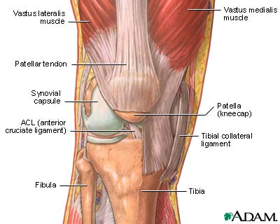 The structure of a joint The structure of a joint