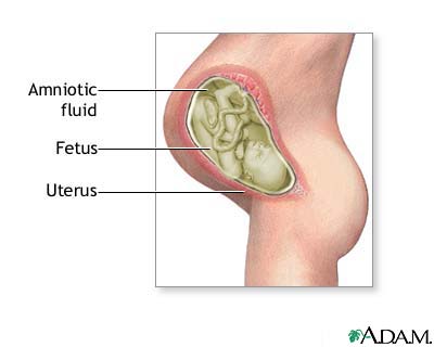 Amniotic fluid