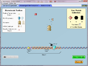 Gene Expression - The Basics Screenshot