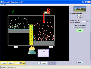 Reversible Reactions Screenshot