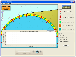 Neuron Screenshot