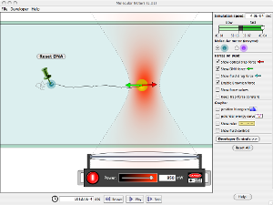 Molecular Motors Screenshot