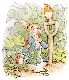 TaleofPeterRabbit8.jpg