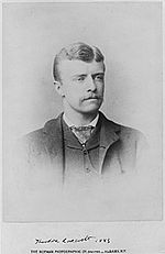 TR NY State Assemblyman 1883.jpg