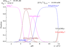 A graph of potential vs. pH showing stability regions of various uranium compounds