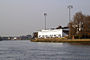 Boat Race Craven Cottage.jpg