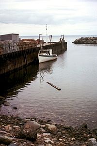 Bay of Fundy High Tide.jpg