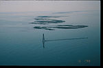 The Chandeleur Islands after Hurricane Georges; the islands are flooded and defoliated