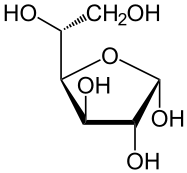 File:Alpha-D-Glucofuranose.svg