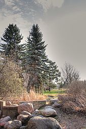 Hawrelak Park in the North Saskatchewan River Valley taken from a stream-bed.