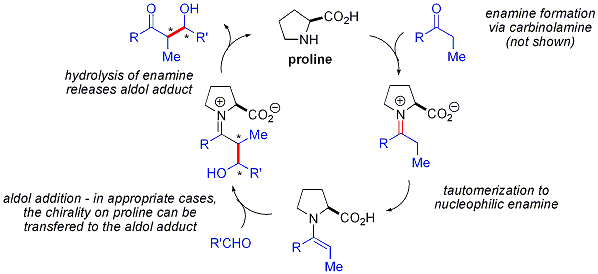 Organocatalytic2.gif